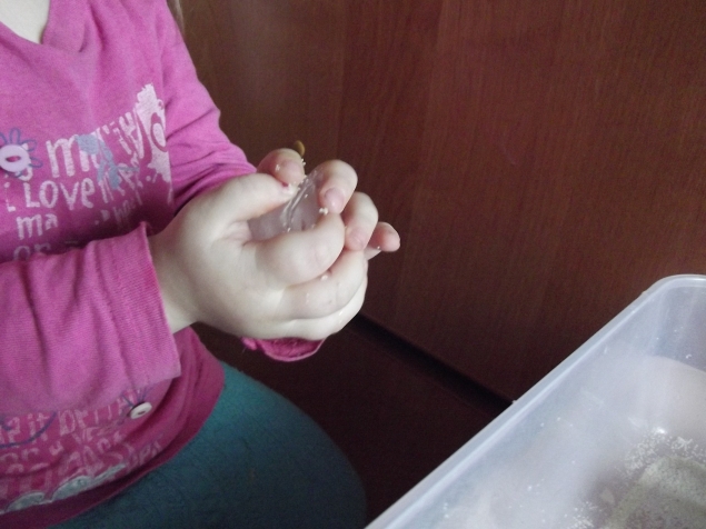 Зима в коробке .