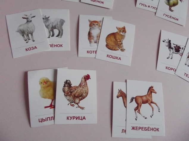 Развитие речи . Развитие речи .