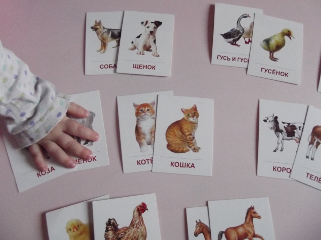 Развитие речи . Развитие речи .