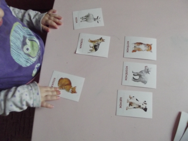 Развитие речи . Развитие речи .