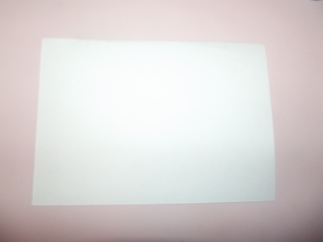 Пластилиновая елка .