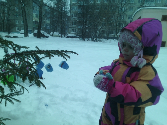 Ледяные игрушки . Ледяные игрушки .