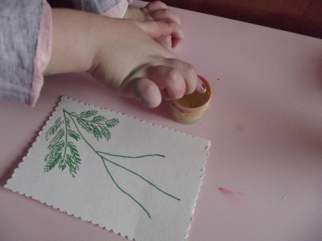 Мимоза . Мимоза .