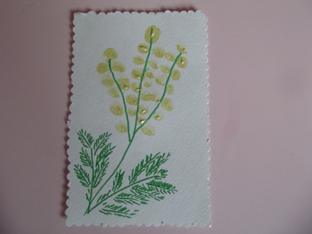 Мимоза . Мимоза .