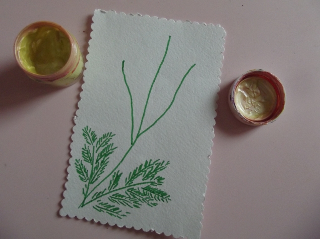 Мимоза . Мимоза .