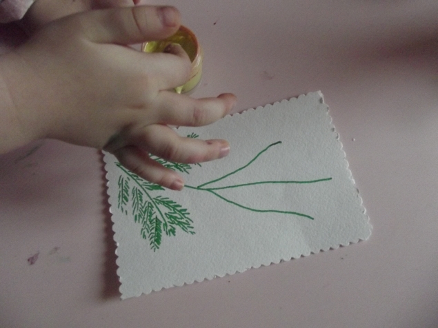 Мимоза . Мимоза .