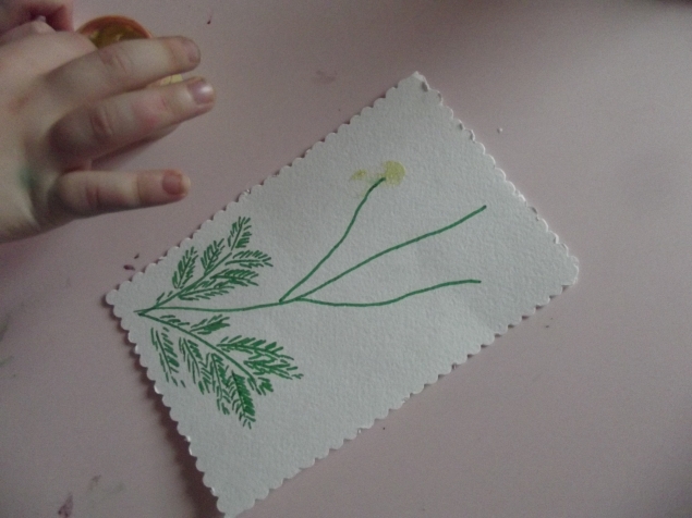 Мимоза . Мимоза .