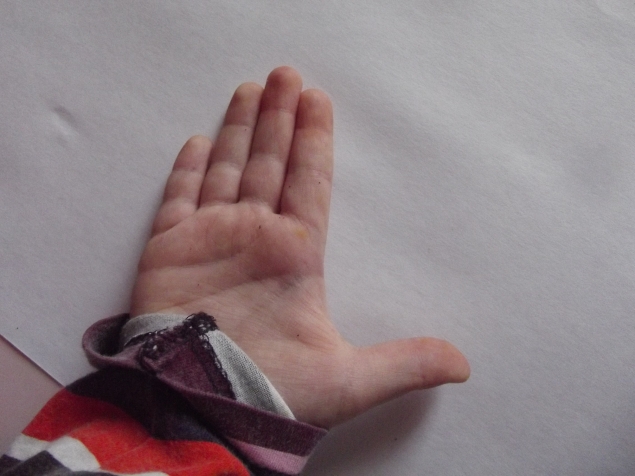 Курица с цыплятами .