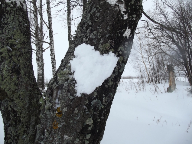 Рисуем снегом .