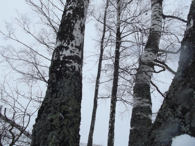 Рисуем снегом .