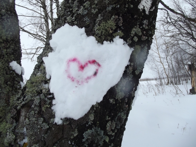 Рисуем снегом .