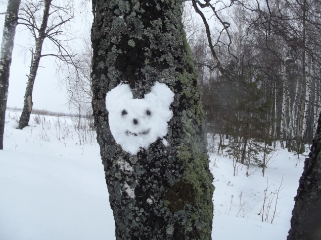 Рисуем снегом .