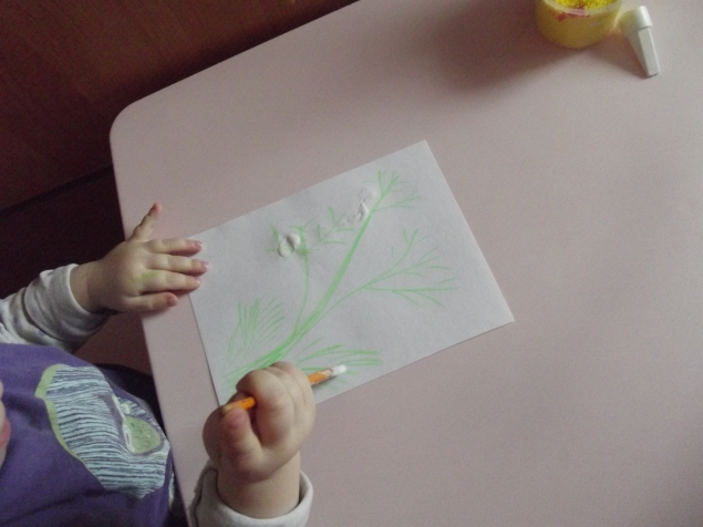 Мимоза . Мимоза .