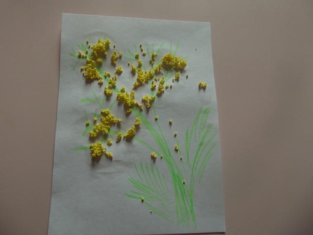 Мимоза . Мимоза .