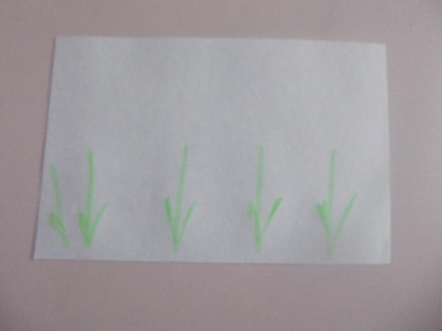 Рисуем тюльпаны . Рисуем тюльпаны .