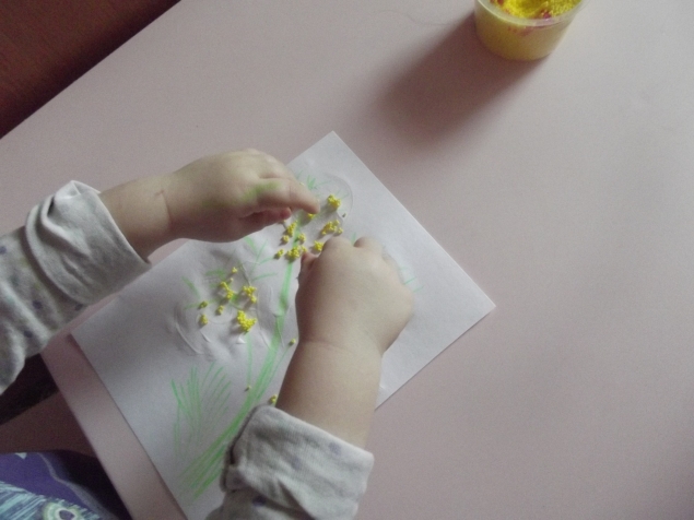 Мимоза . Мимоза .