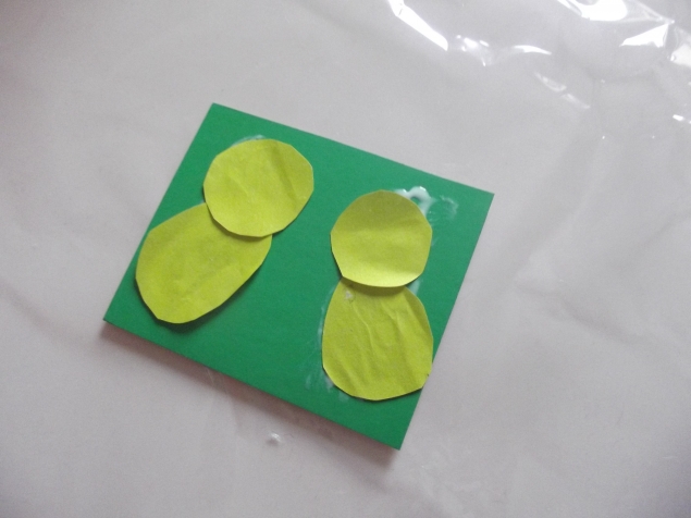 Цыплята . Цыплята .