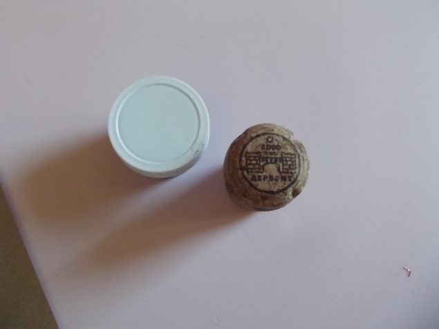 Ветка с цветами .