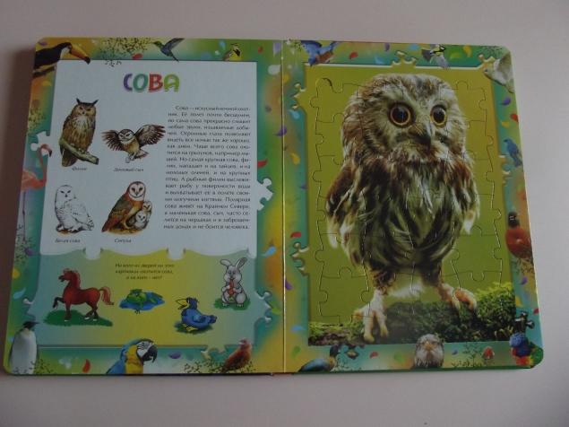 Книга - пазлы .