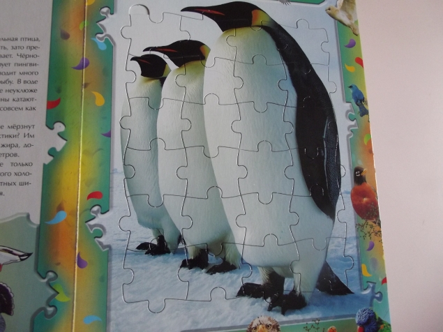 Книга - пазлы .