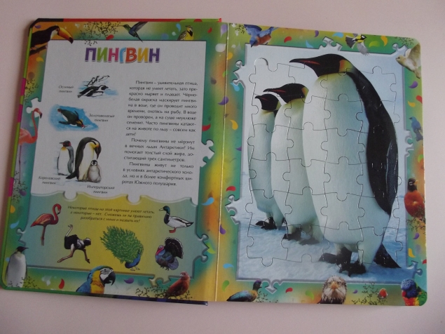 Книга - пазлы .