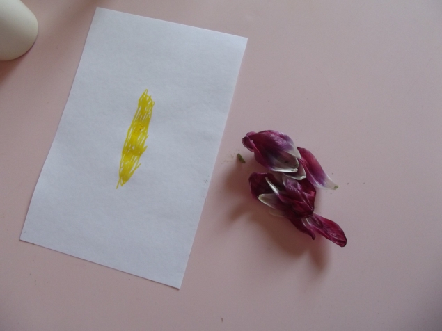 Цветочная бабочка . Цветочная бабочка .