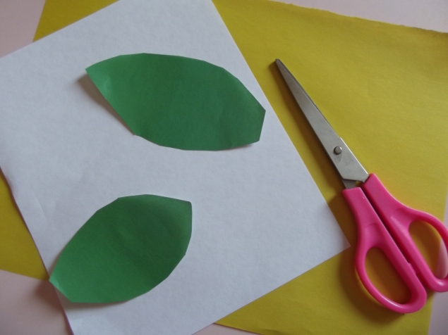 Мимоза . Мимоза .