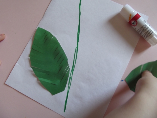 Мимоза . Мимоза .