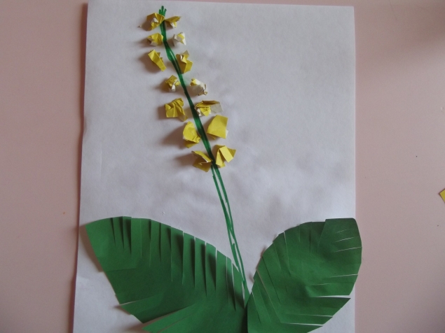 Мимоза . Мимоза .