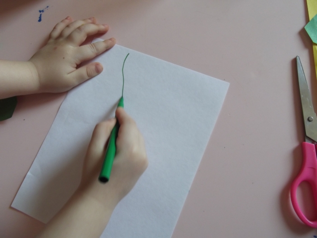 Мимоза . Мимоза .