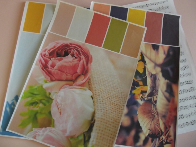 Разноцветные зайчики . Разноцветные зайчики .