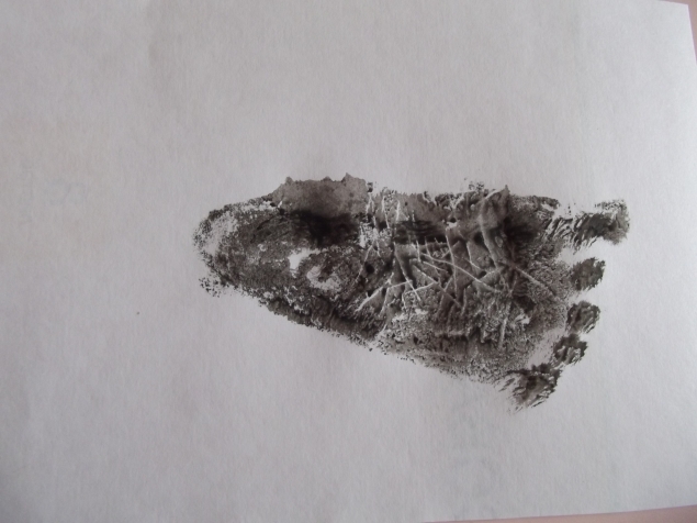 Снегирь . Снегирь .