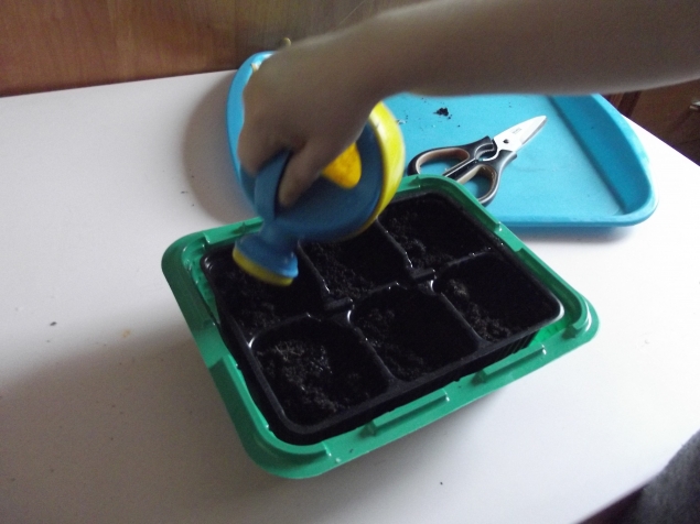 Весенние посадки .