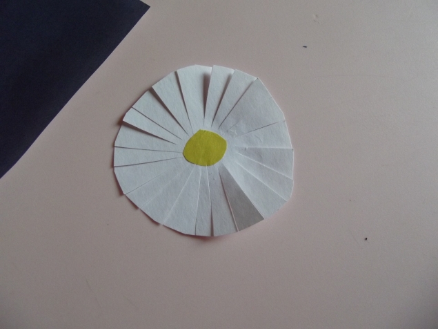 Ромашка . Ромашка .