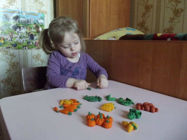 Полимерный огород . Полимерный огород .