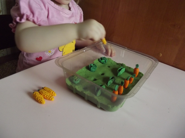 Мы сажаем огород .