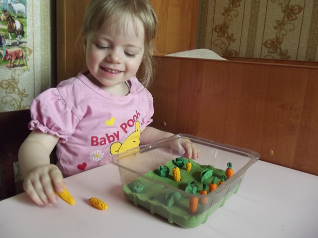 Мы сажаем огород .