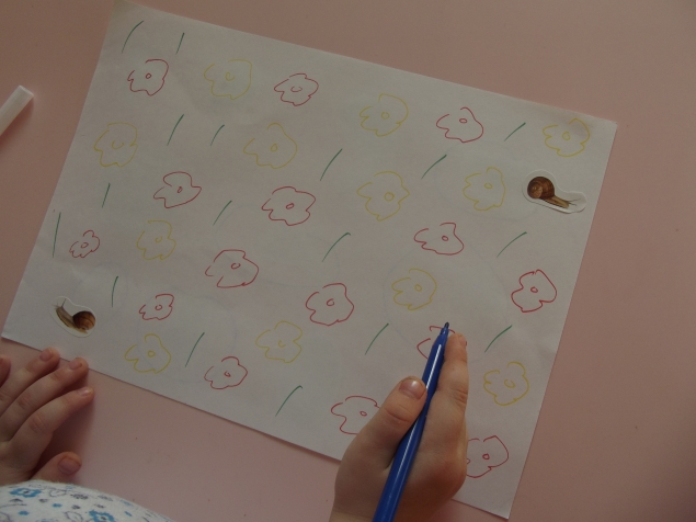 Игры - проводилки .