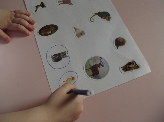 Игра - находилка .