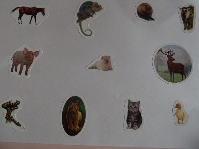 Игра - находилка .