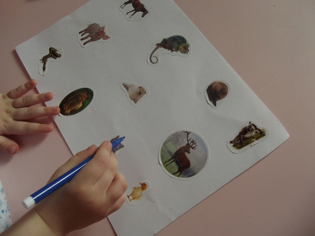 Игра - находилка .