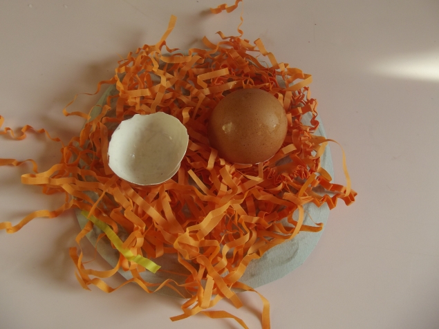 Гнездо с цыплятами .