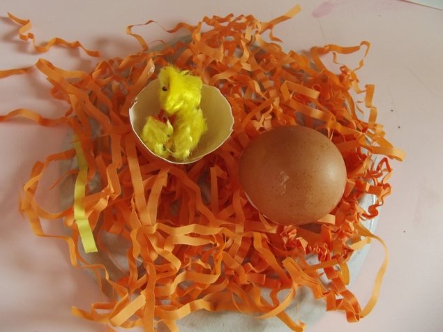 Гнездо с цыплятами .