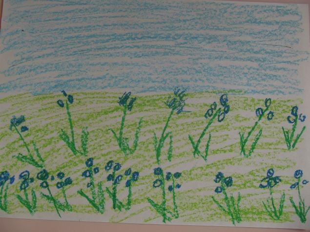 Синие цветы . Синие цветы .