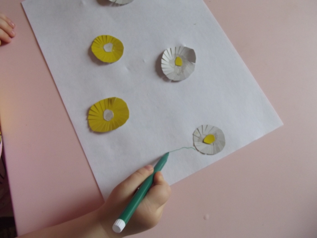 Бумажные цветы . Бумажные цветы .