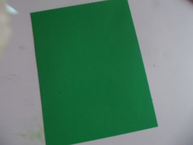 Ромашка . Ромашка .