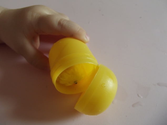 Яйцо динозавра .