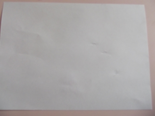 Разноцветный листопад . Разноцветный листопад .