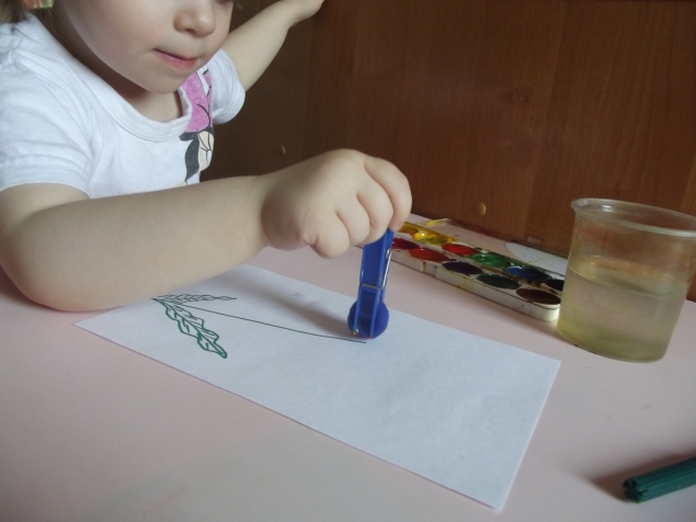 Гвоздика . Гвоздика .