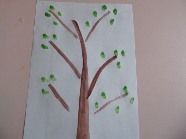 Попугаи . Попугаи .